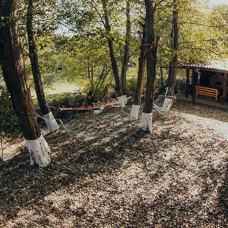 برانْ Hanul Simon Pensiune & Restaurant المظهر الخارجي الصورة