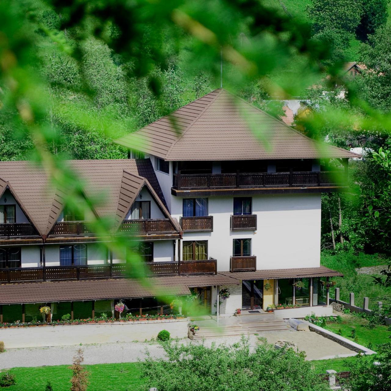 برانْ Hanul Simon Pensiune & Restaurant المظهر الخارجي الصورة